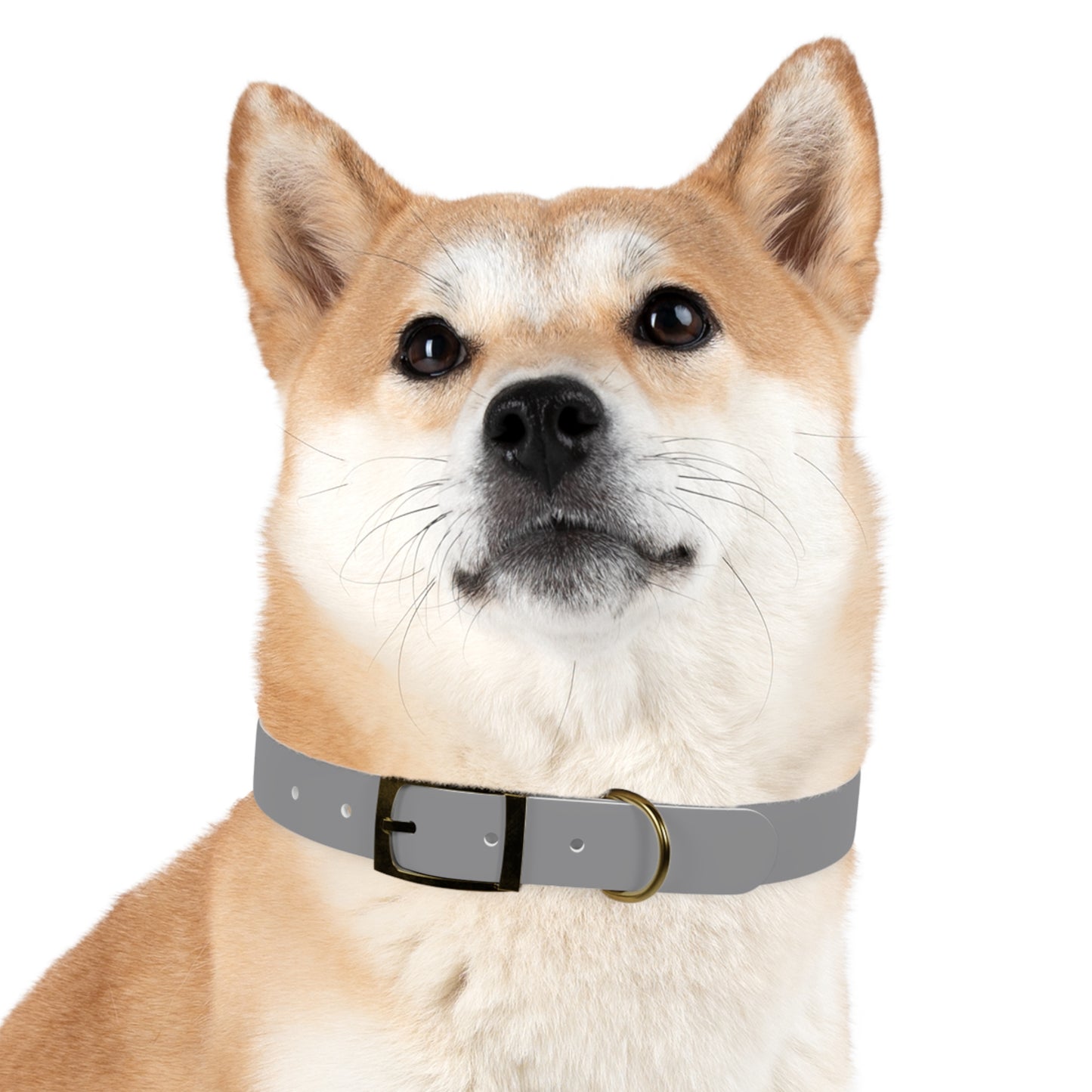 Summit Collar Grey