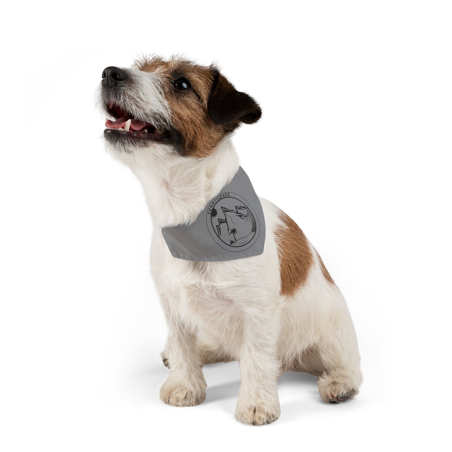 Adventure Pet Bandana Grey