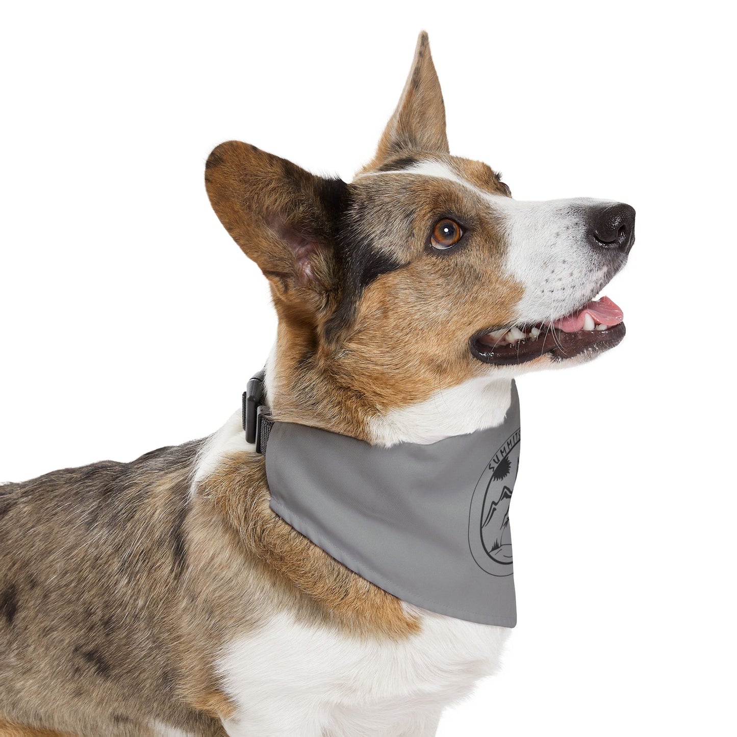 Adventure Pet Bandana Grey
