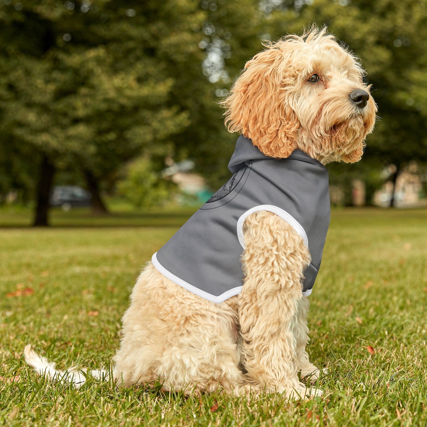 Mountain Pet Hoodie Grey