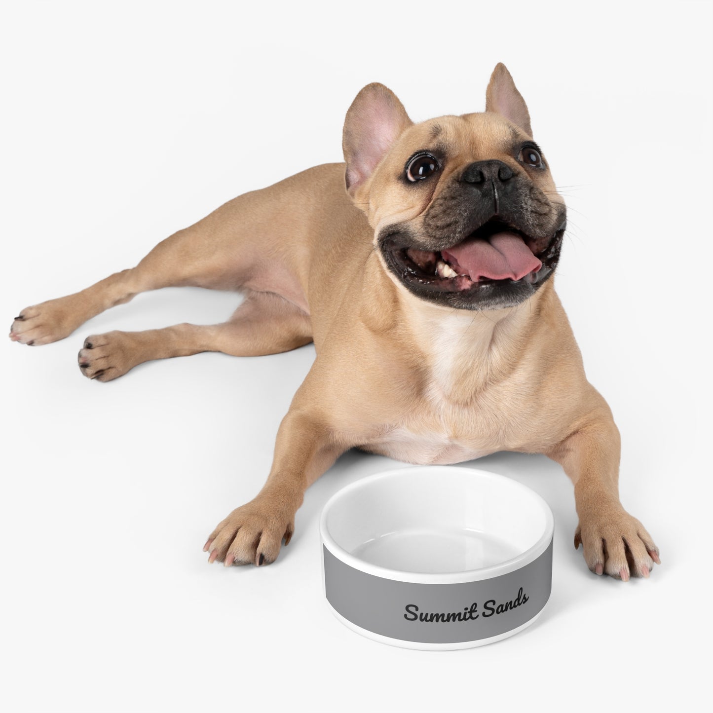 Summit Pet Bowl Grey