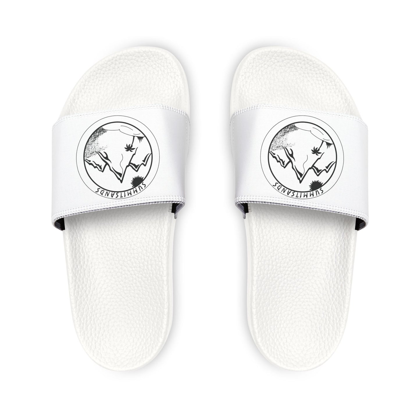 Summit Slides