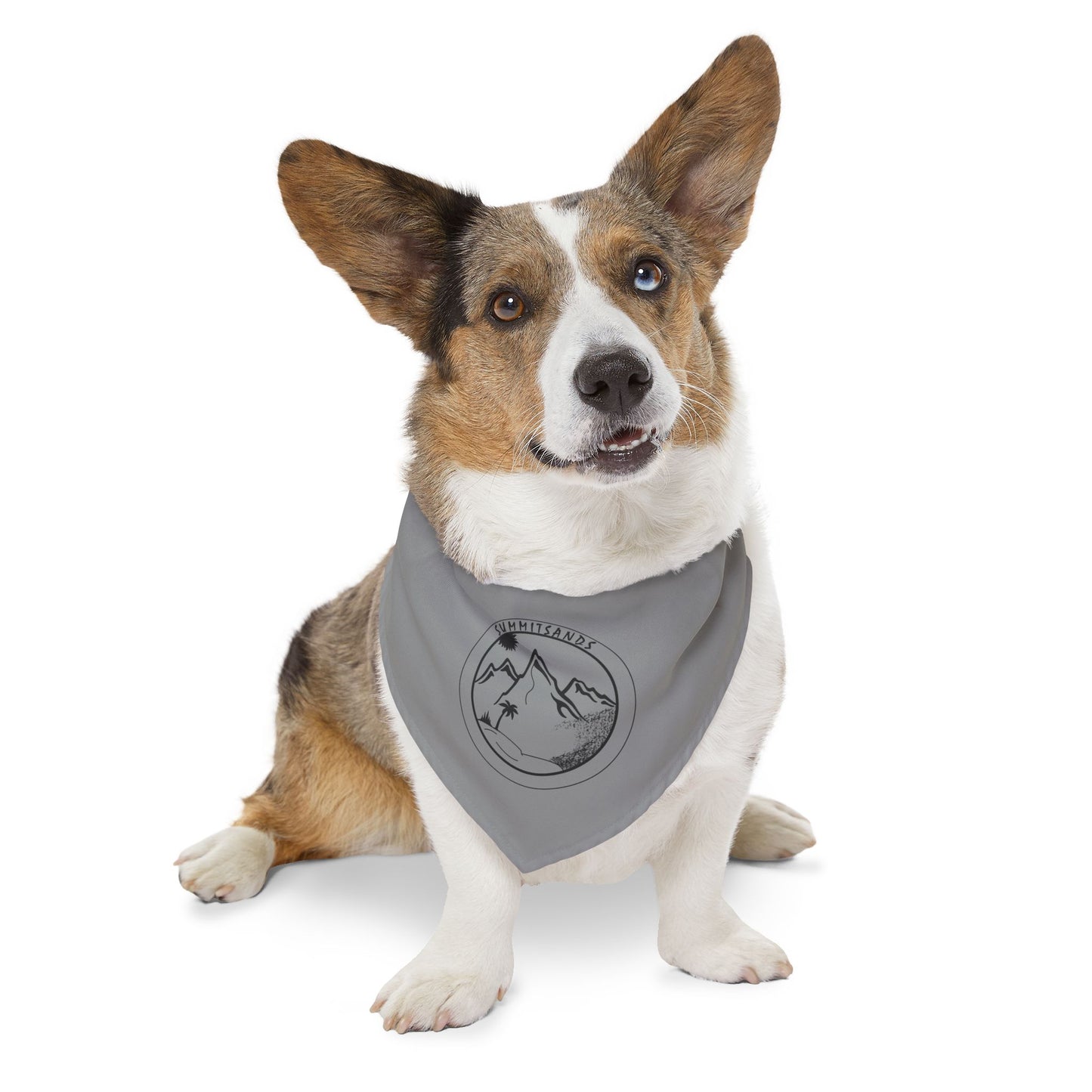 Adventure Pet Bandana Grey