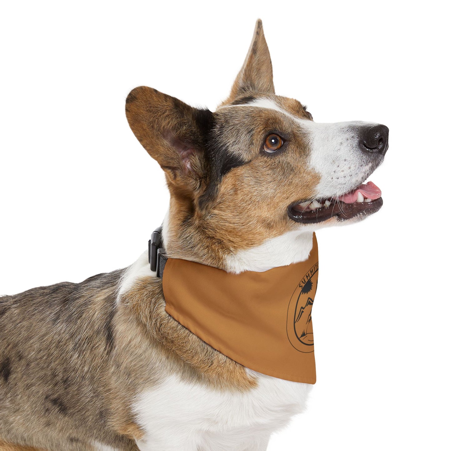 Adventure Pet Bandana Tan