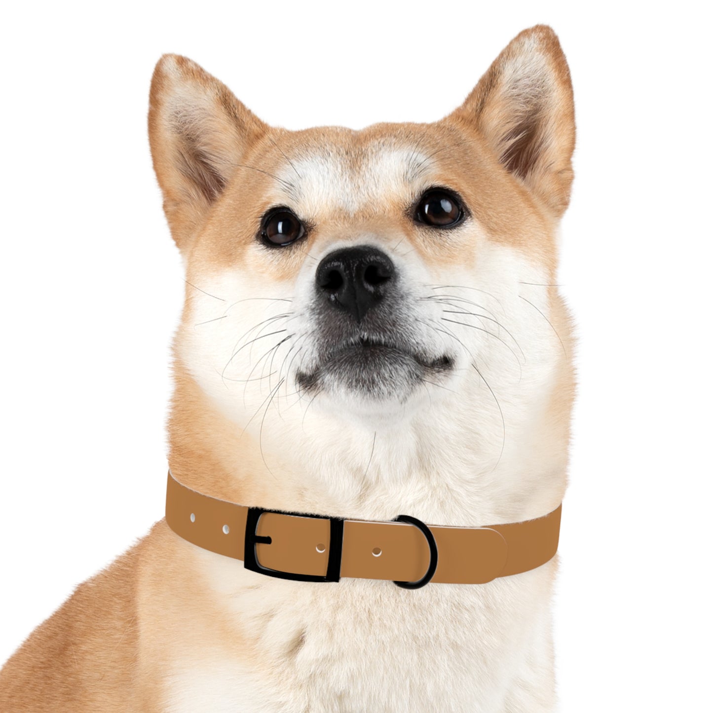 Summit Collar Tan