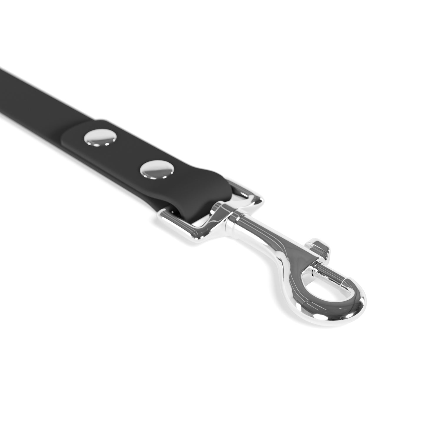 Summit Leash