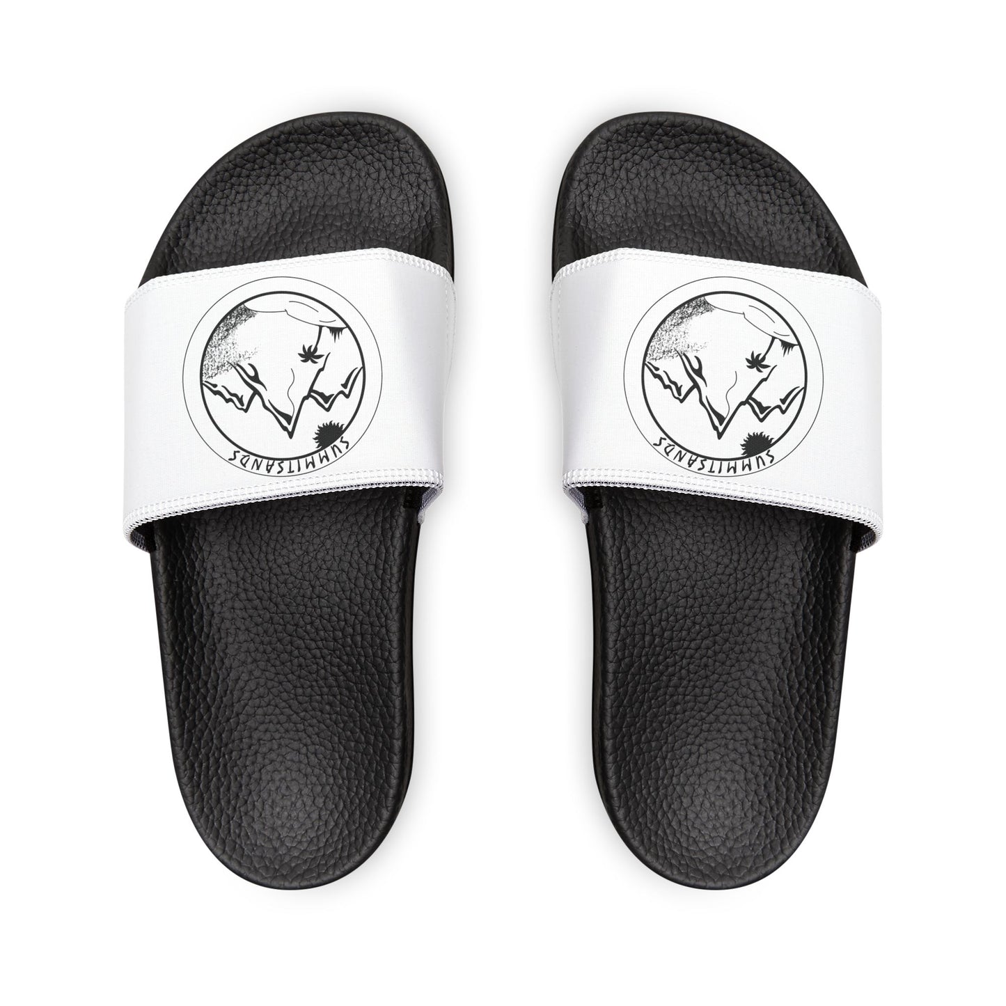 Summit Slides