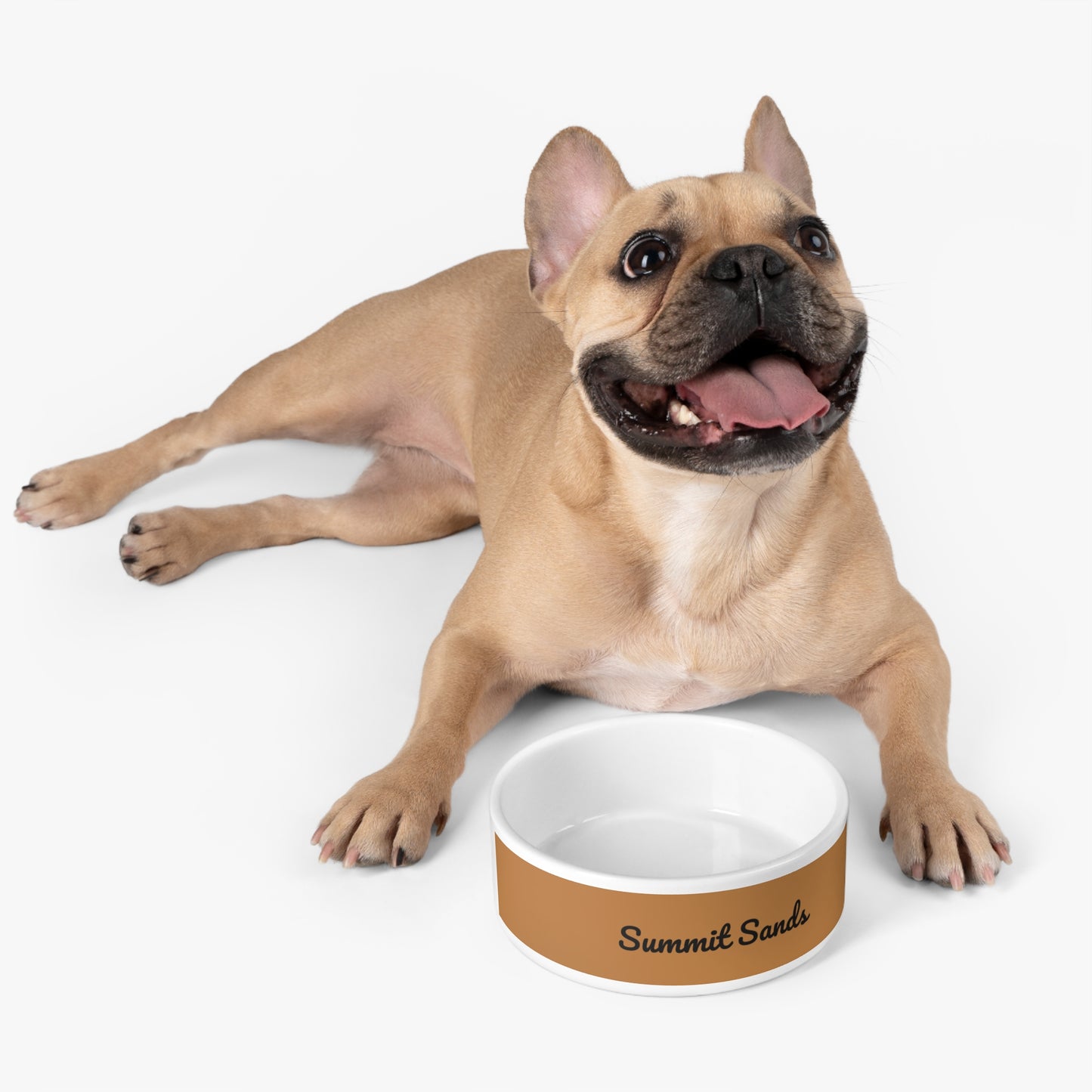 Summit Pet Bowl Tan