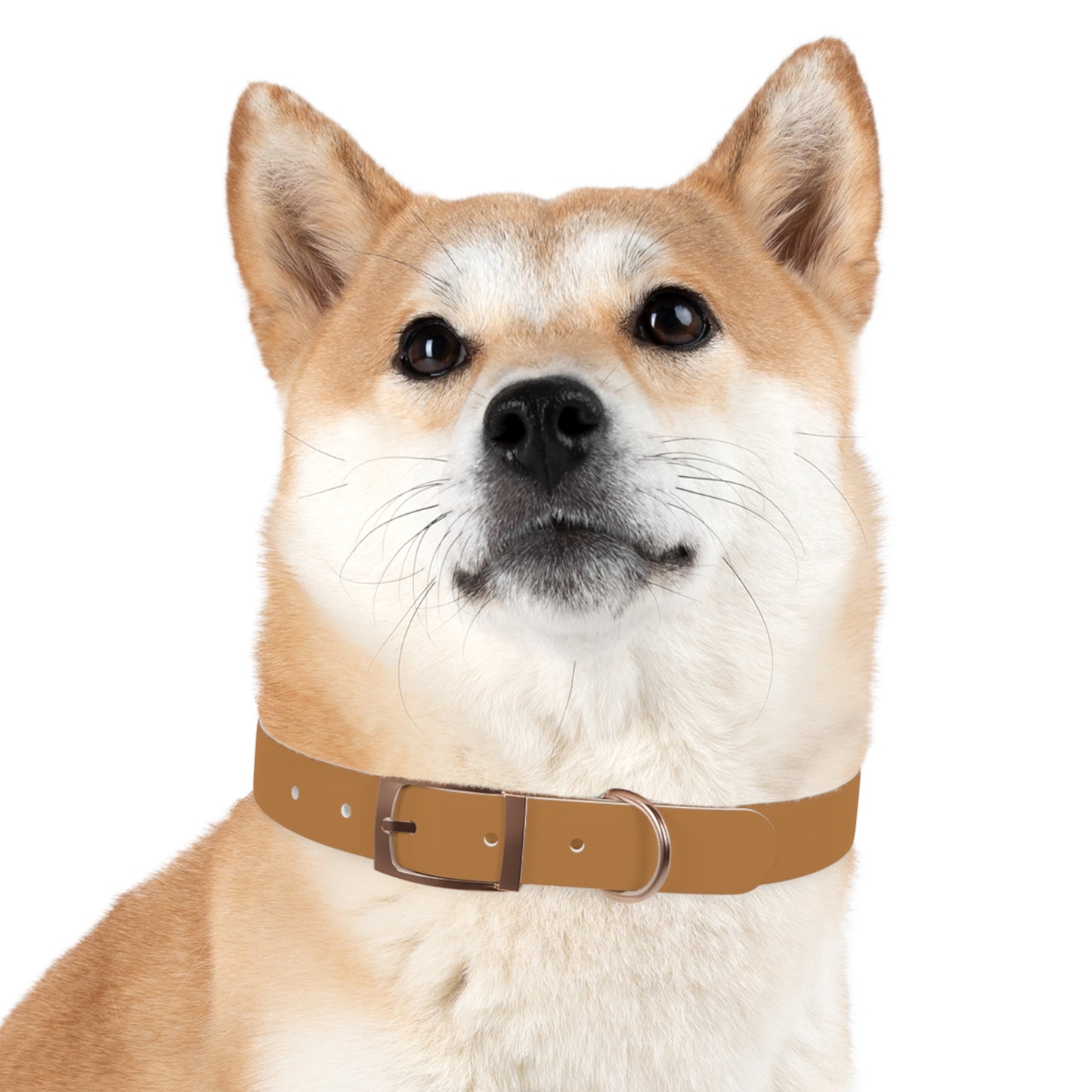 Summit Collar Tan
