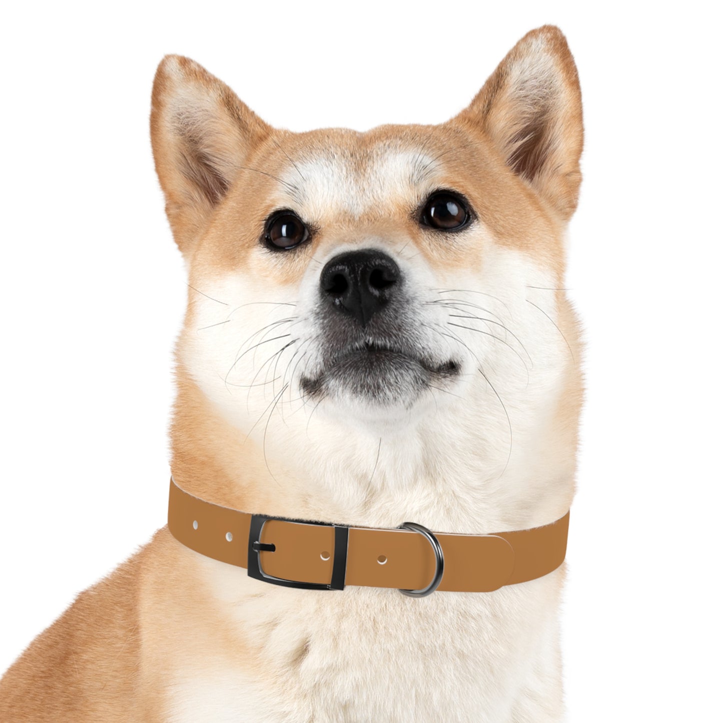 Summit Collar Tan