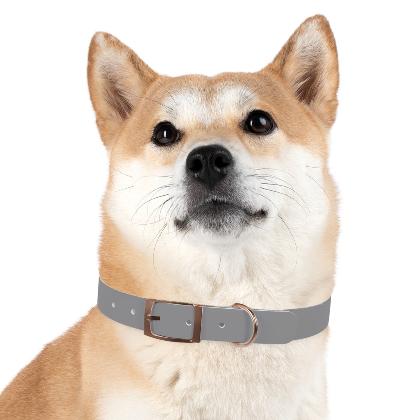 Summit Collar Grey
