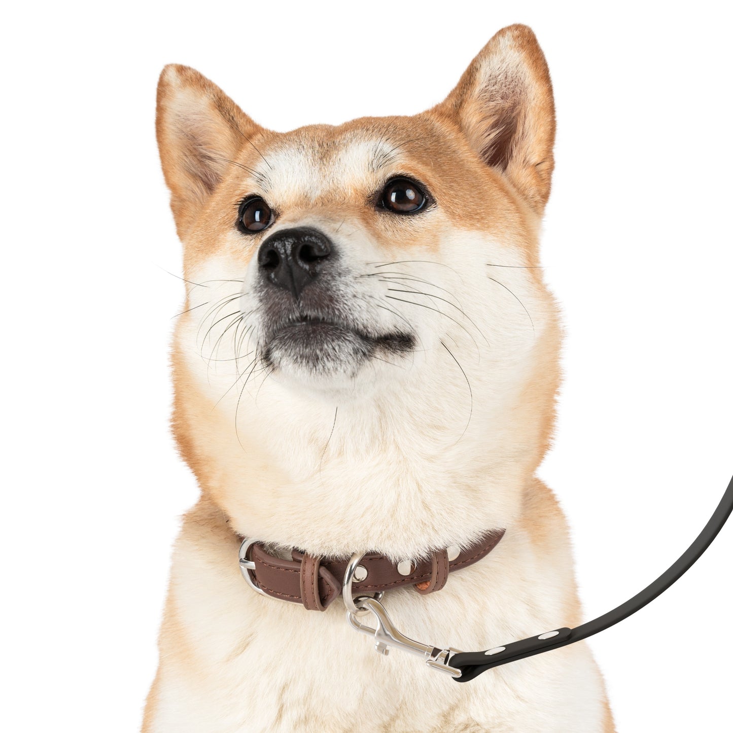 Summit Leash