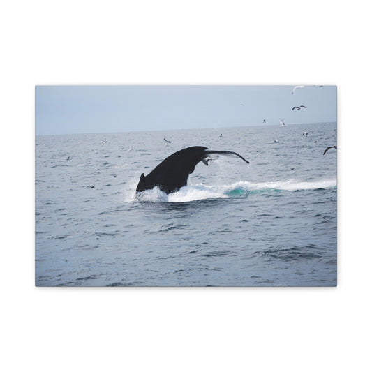 Canvas Print - Whale Tail Arch