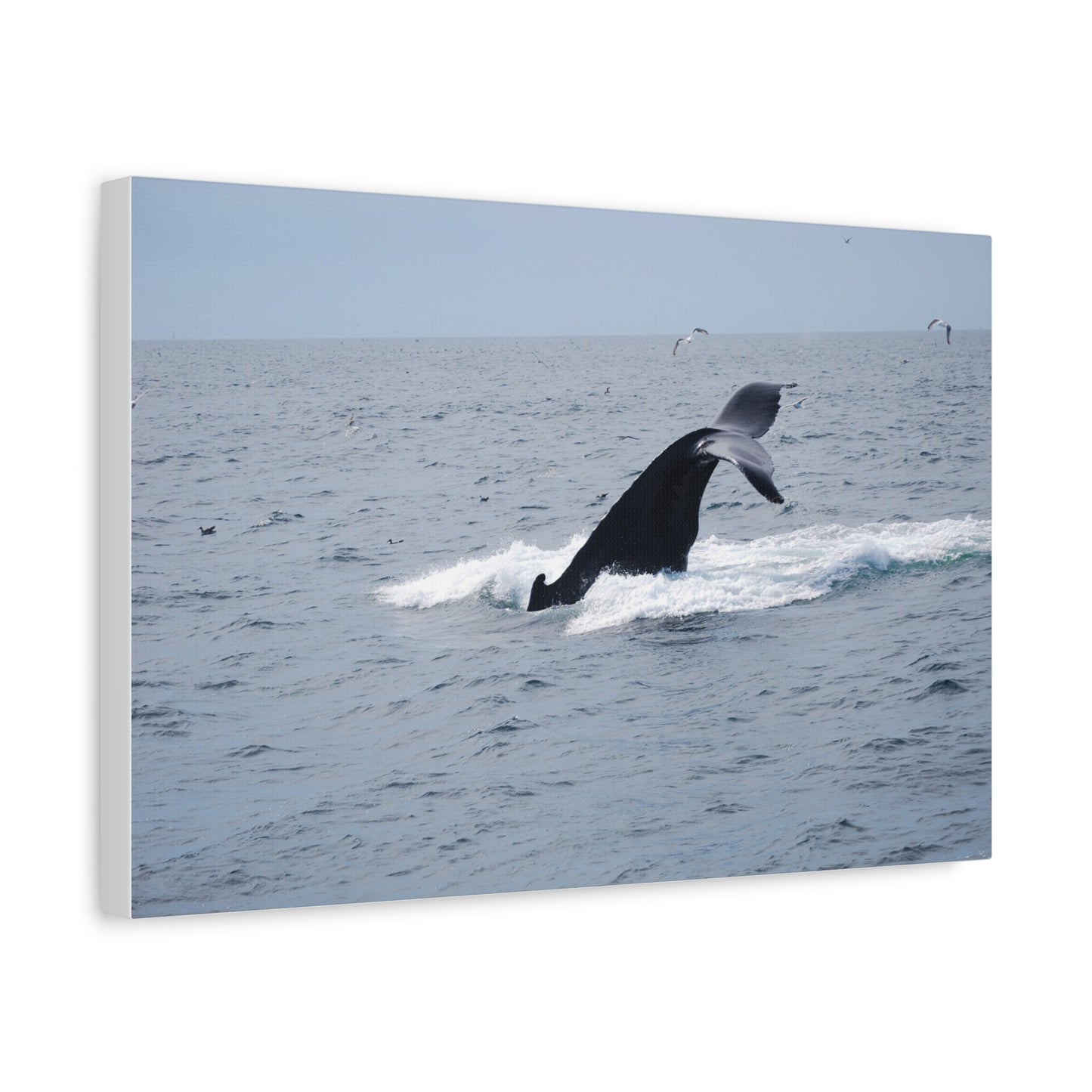 Canvas Print - Whale Tail