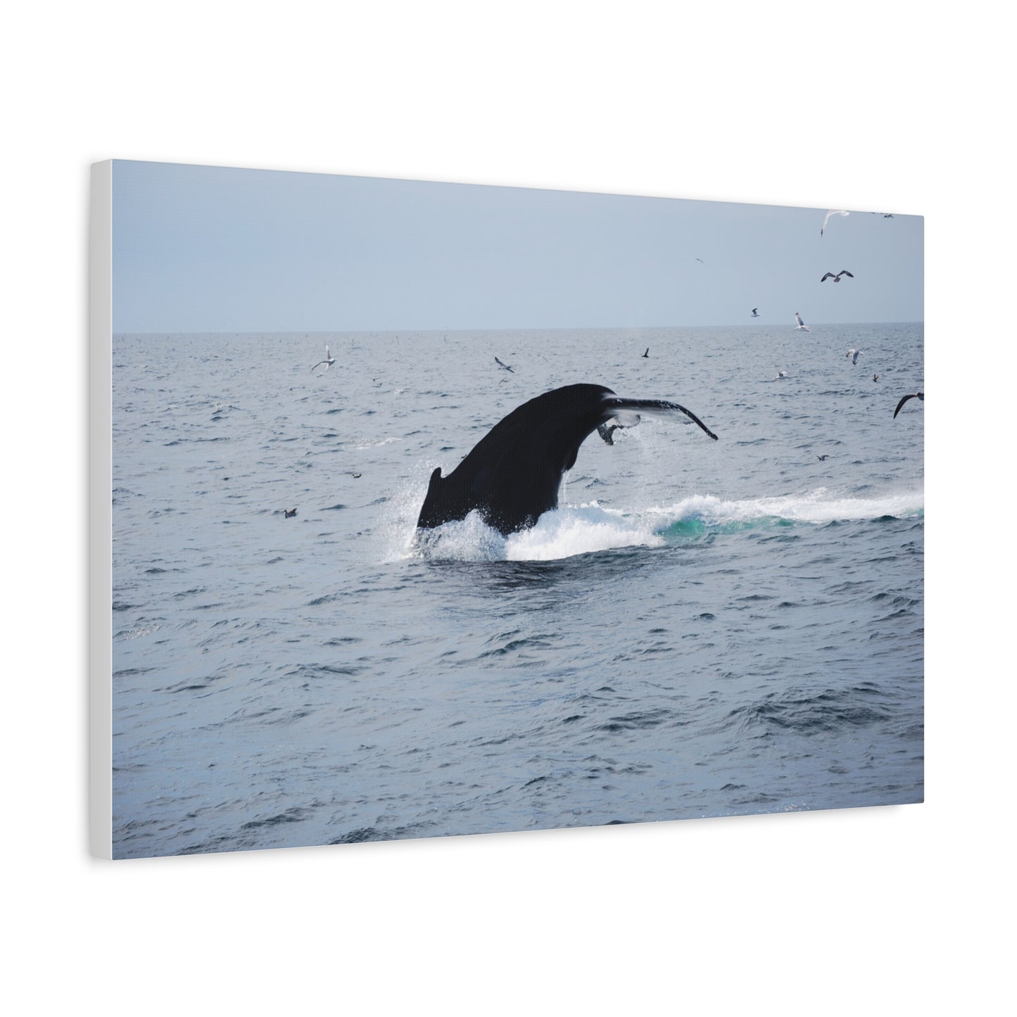 Canvas Print - Whale Tail Arch