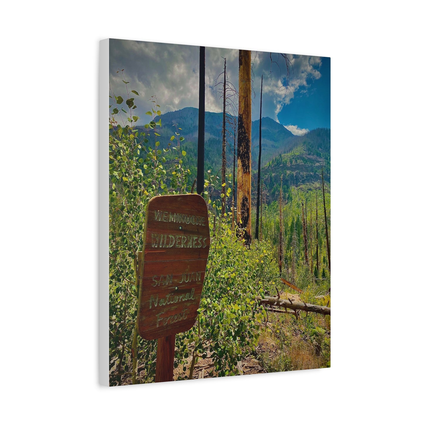 Canvas Art - San Juan Mountains