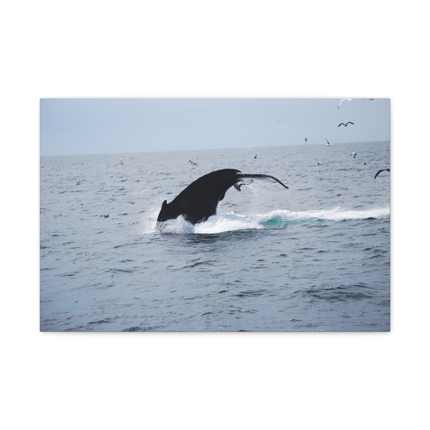 Canvas Print - Whale Tail Arch
