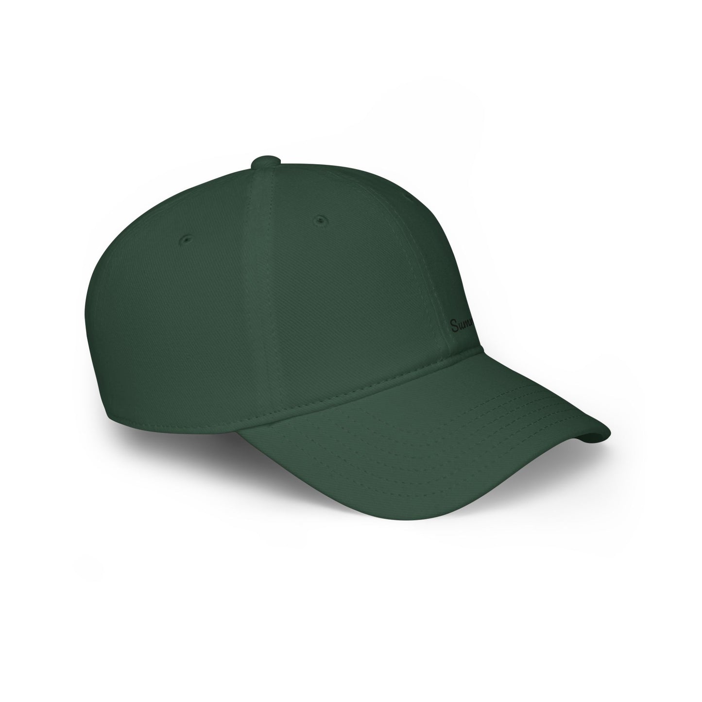 Stylish Low Profile Baseball Cap - Perfect for Casual Outings, Outdoor Activities, and Everyday Wear, Adjustable, Unisex, Gift