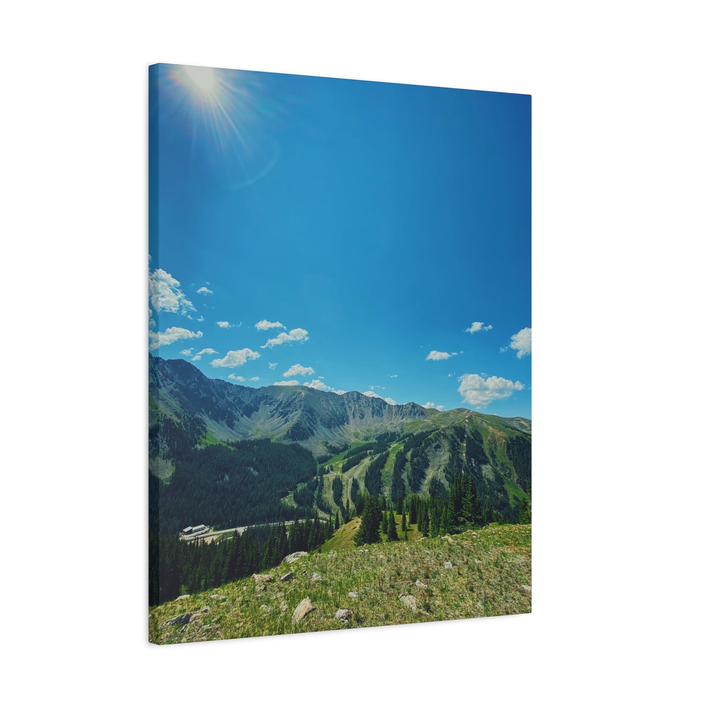 Canvas Print - Ski Run