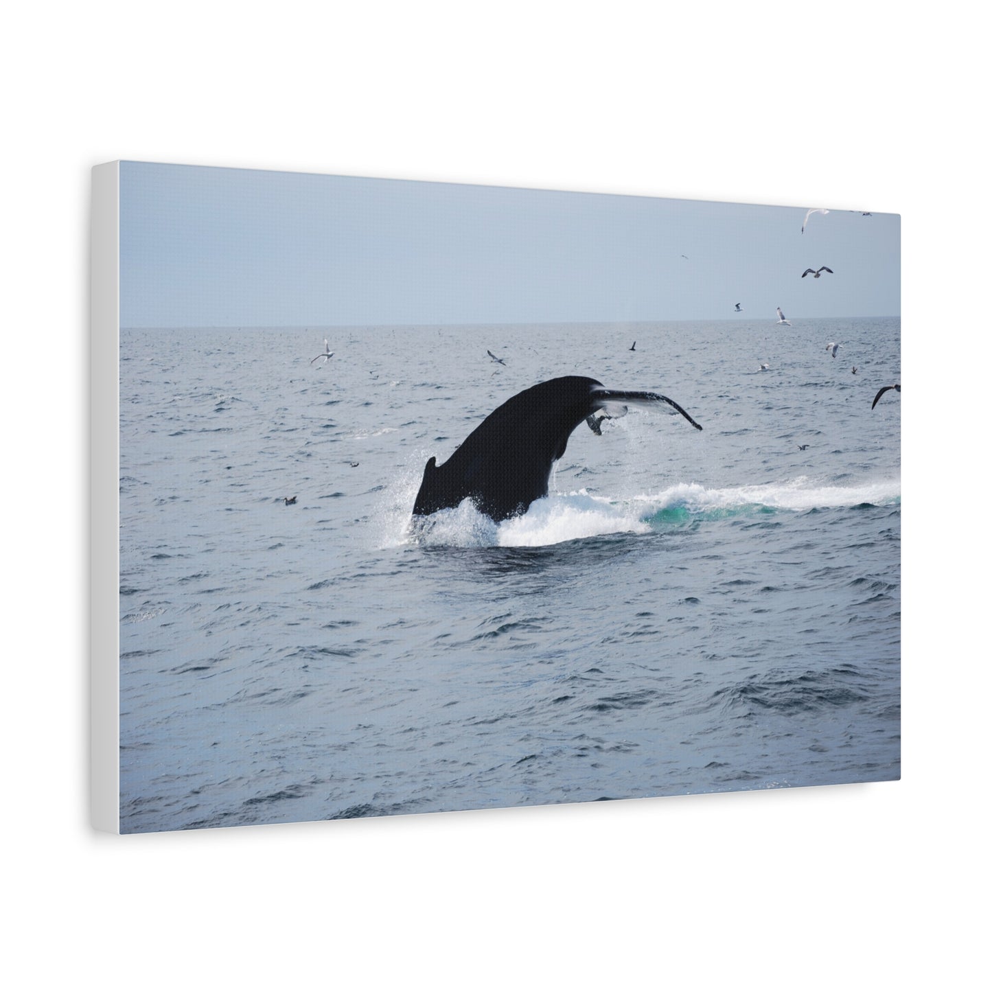 Canvas Print - Whale Tail Arch