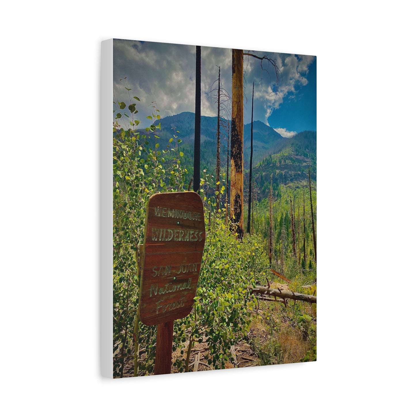 Canvas Art - San Juan Mountains