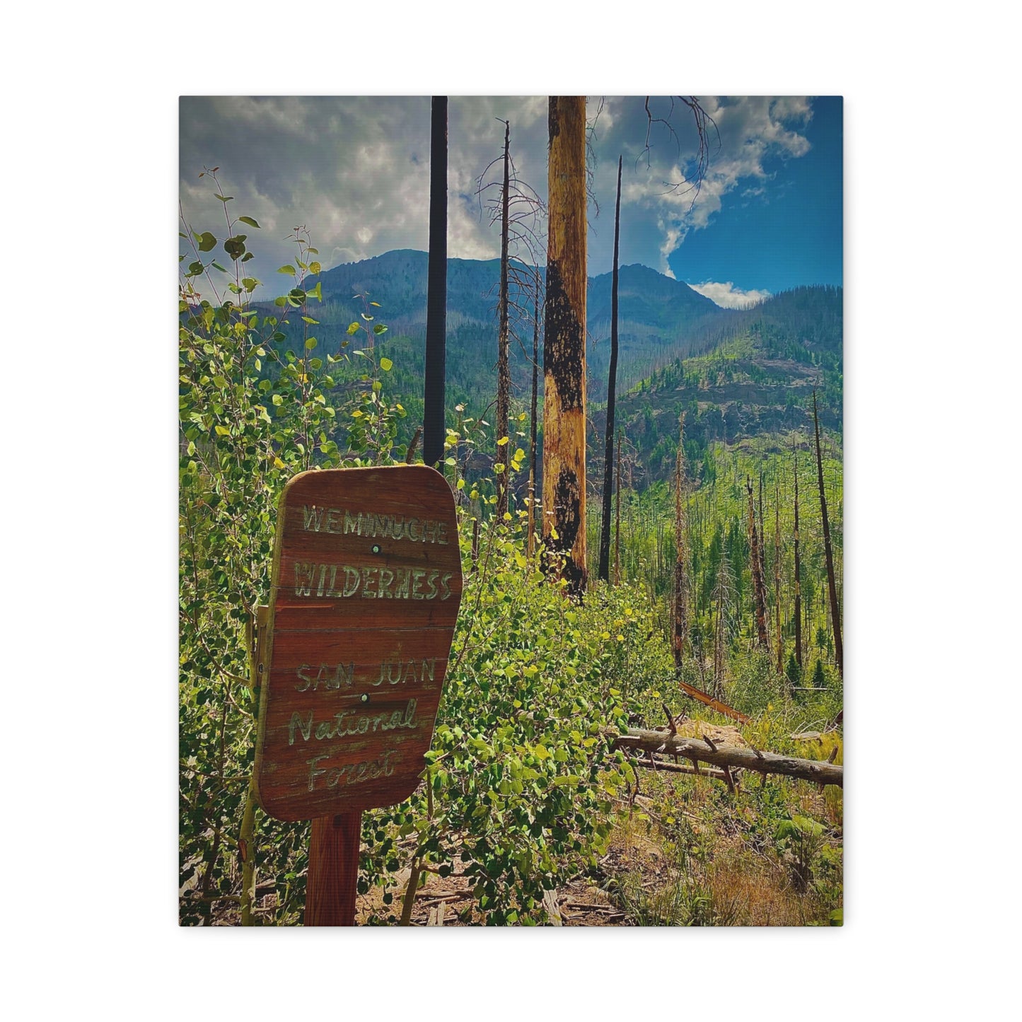 Canvas Art - San Juan Mountains