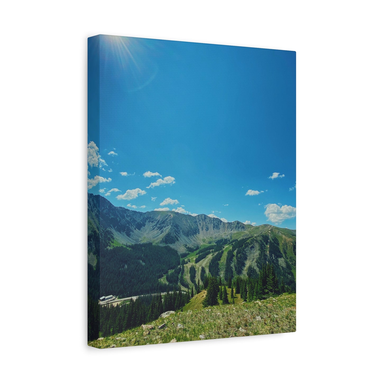 Canvas Print - Ski Run