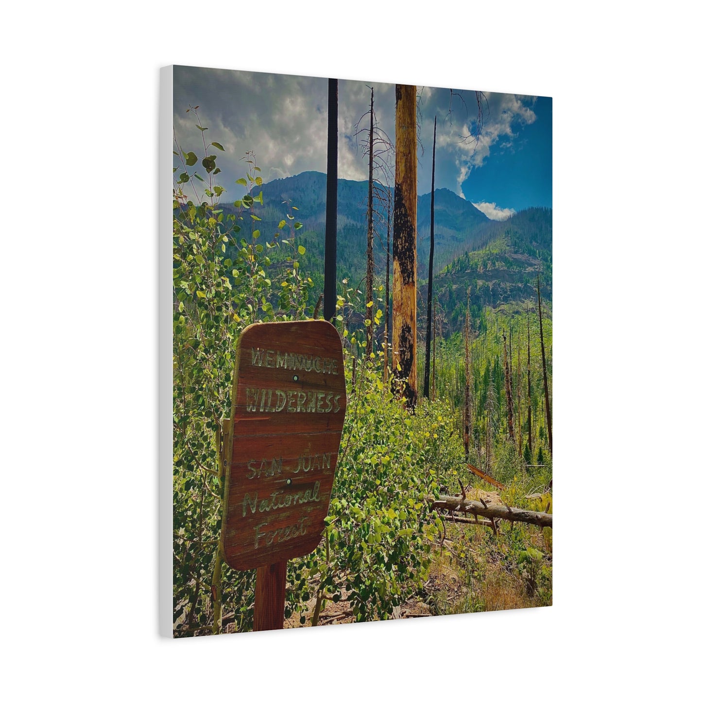 Canvas Art - San Juan Mountains