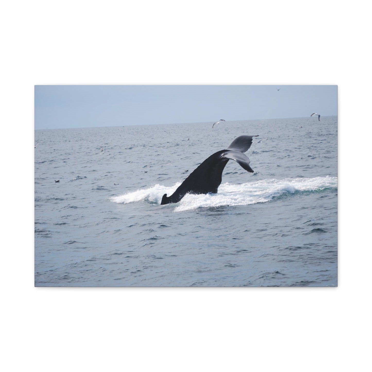 Canvas Print - Whale Tail