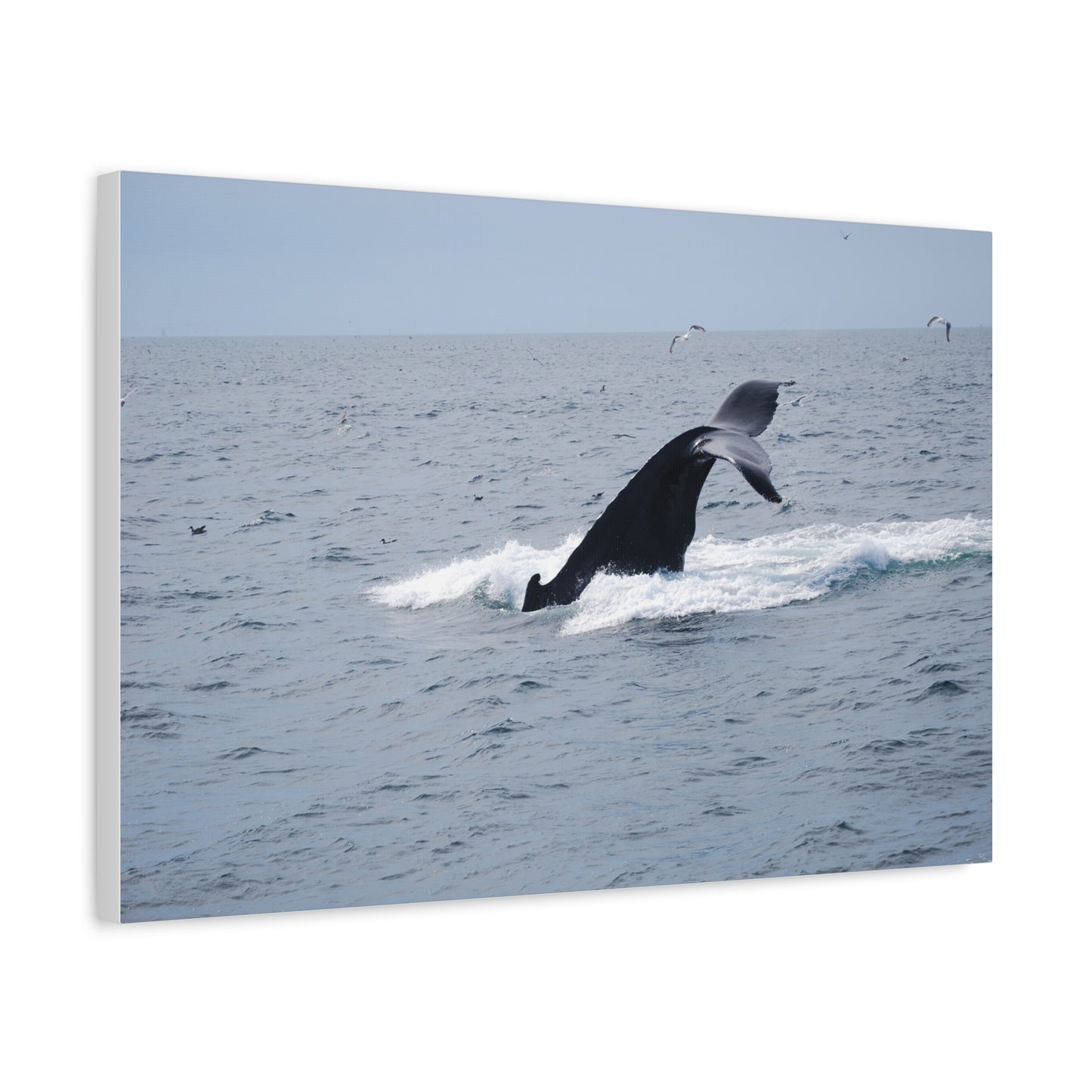 Canvas Print - Whale Tail