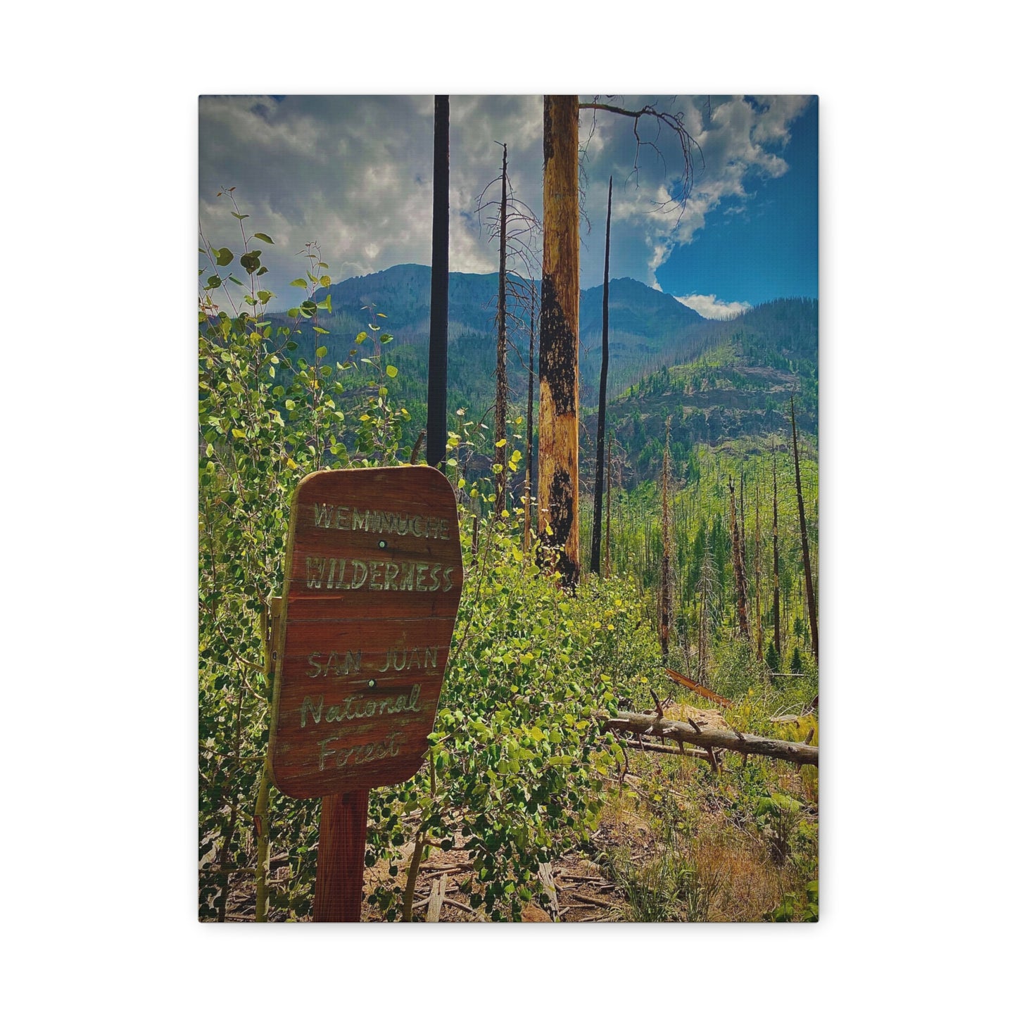 Canvas Art - San Juan Mountains