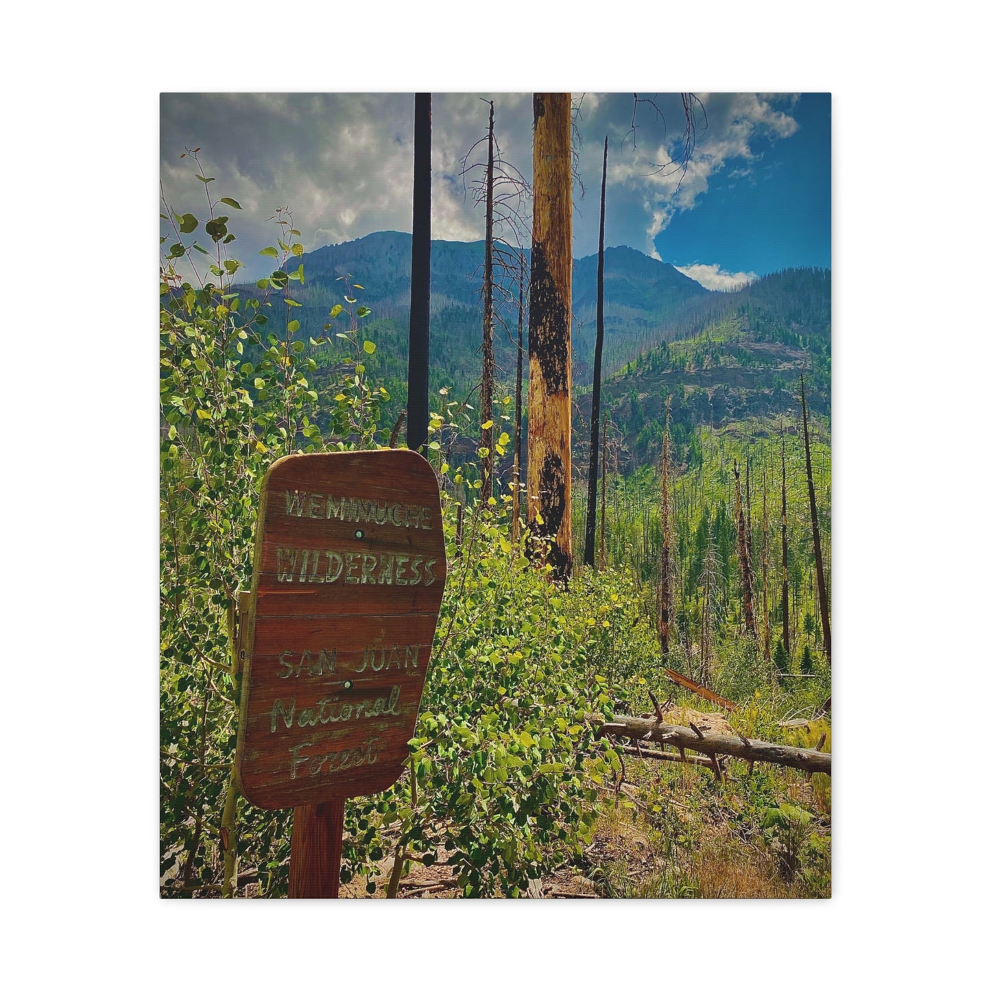 Canvas Art - San Juan Mountains