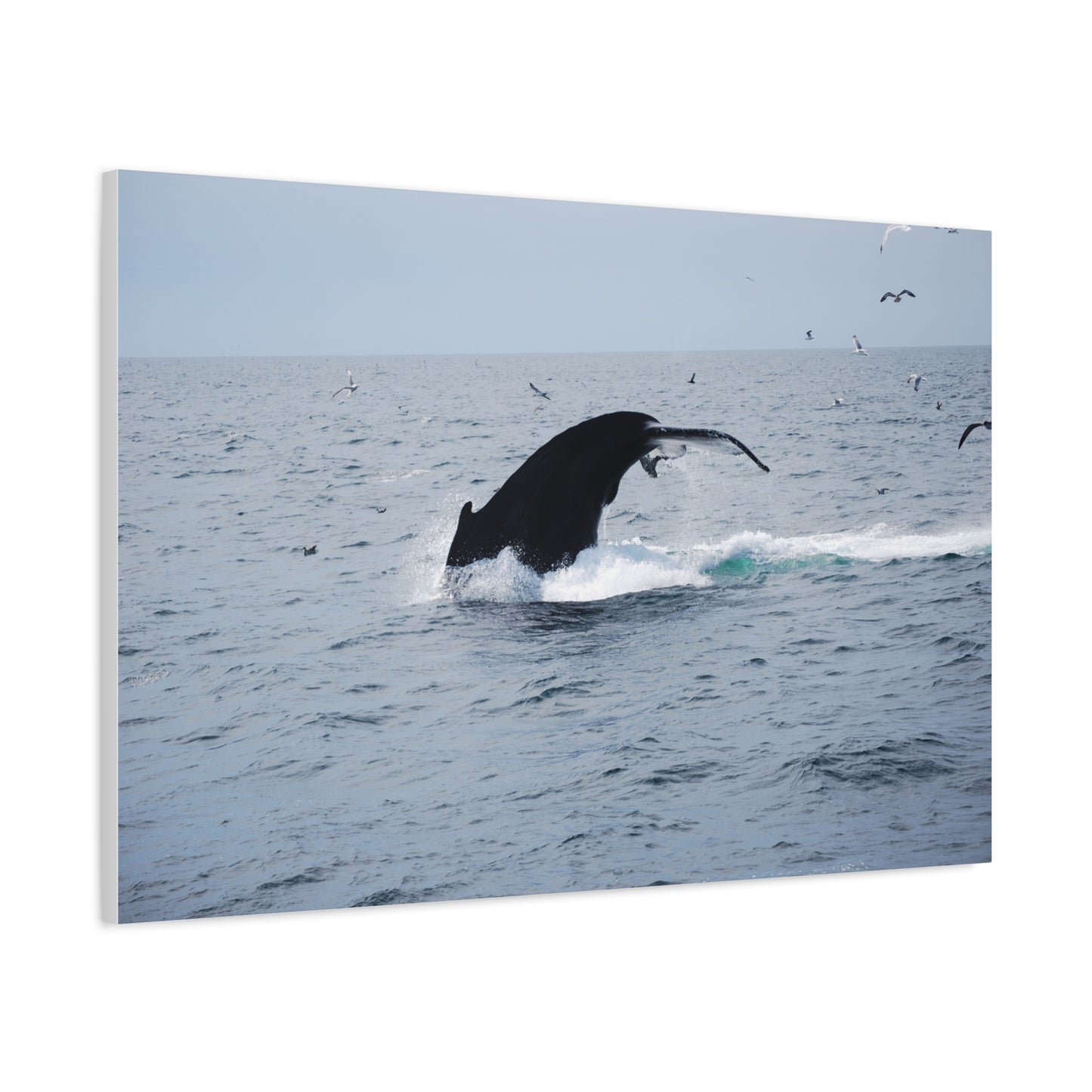 Canvas Print - Whale Tail Arch